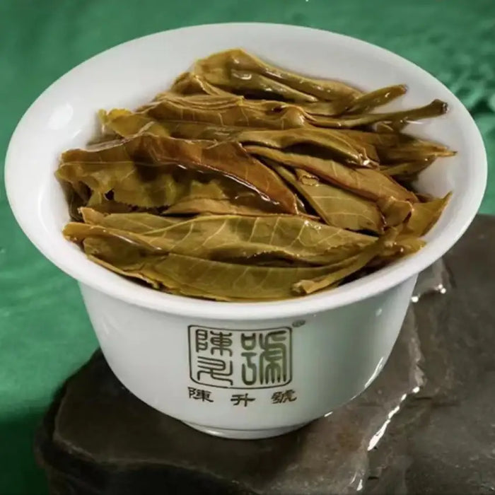 Brewed puerh tea leaves in a white gaiwan on a green background