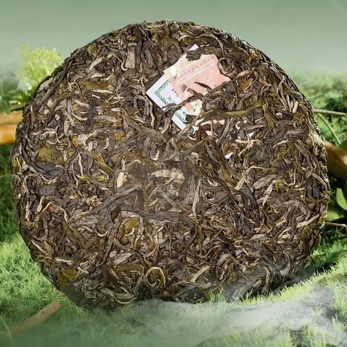 2024 ChenShengHao "Lao Ban Zhang" (LaoBanzhang) Cake 357g Puerh Raw Tea Sheng Cha - King Tea Mall - photo 2
