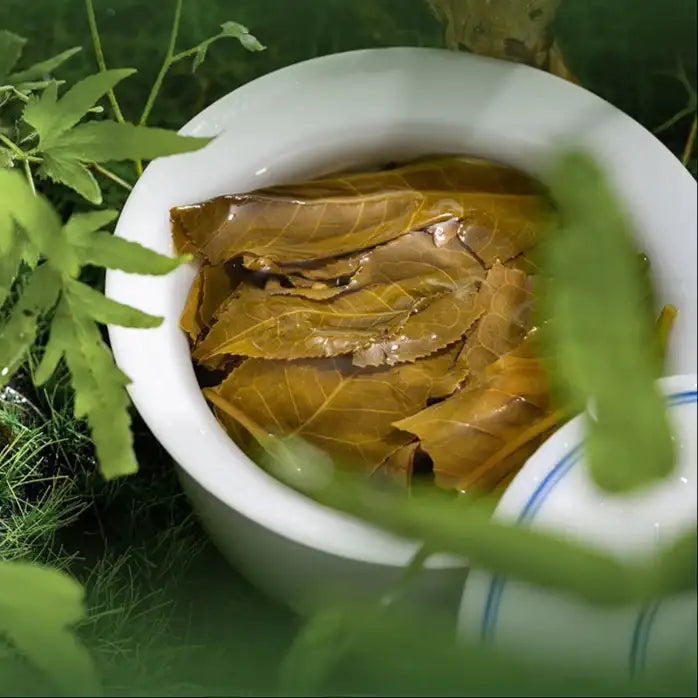 2024 ChenShengHao "Lao Ban Zhang" (LaoBanzhang) Cake 357g Puerh Raw Tea Sheng Cha - King Tea Mall - photo 5