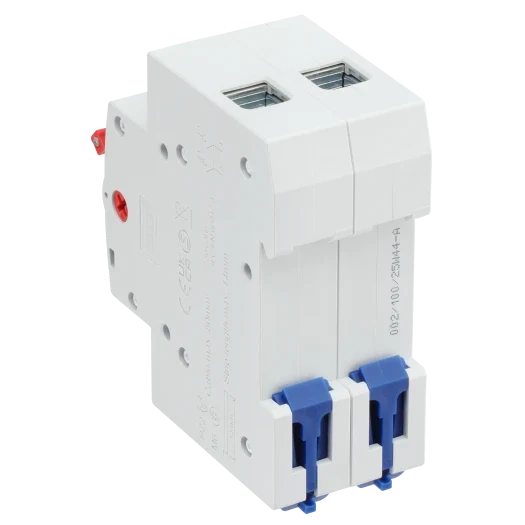 BG CUSW100 100A Bidirectional Double Pole Main Switch Isolator – 2 Module