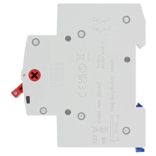 BG CUSW100 100A Bidirectional Double Pole Main Switch Isolator – 2 Module