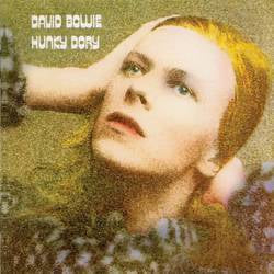 David Bowie Hunky Dory 50th Anniversary Picture Disc