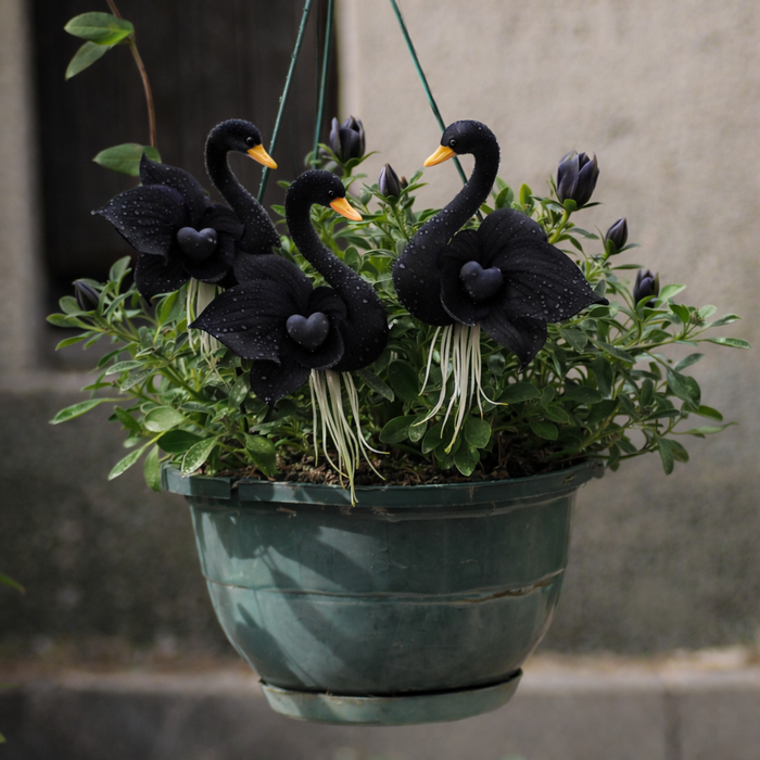 🔥 Jarný výpredaj -50%! ✨ Očarujúce kvety "Purple Swan Blossom" – jedinečná kráska pre vašu záhradu-SK