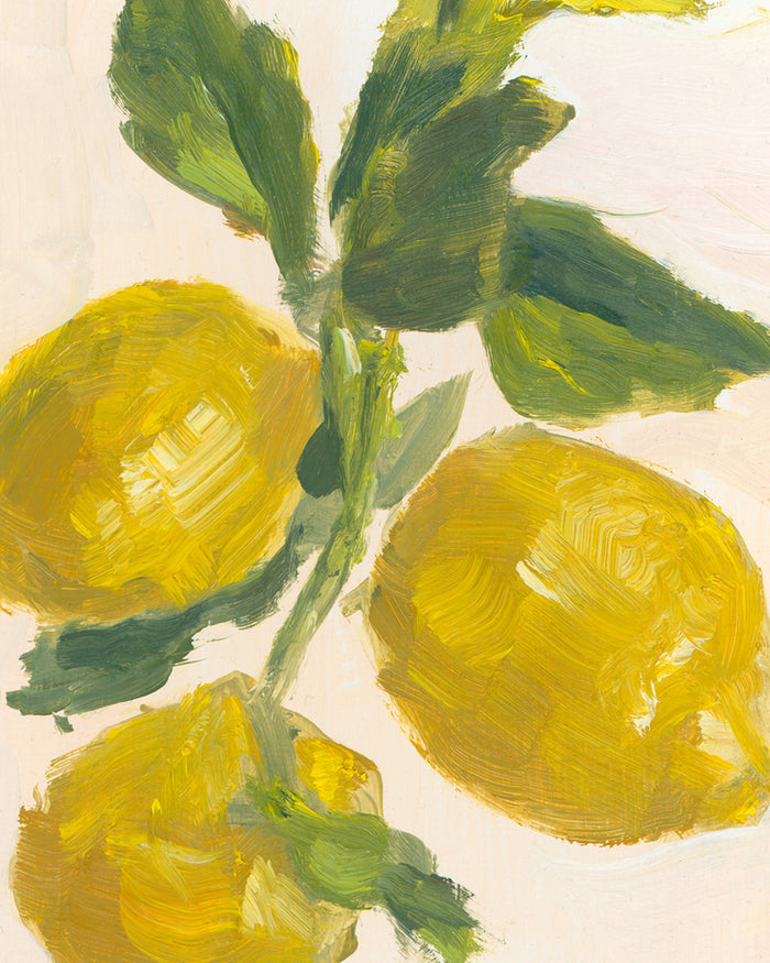 Lemon Branch Art Print by Splendus