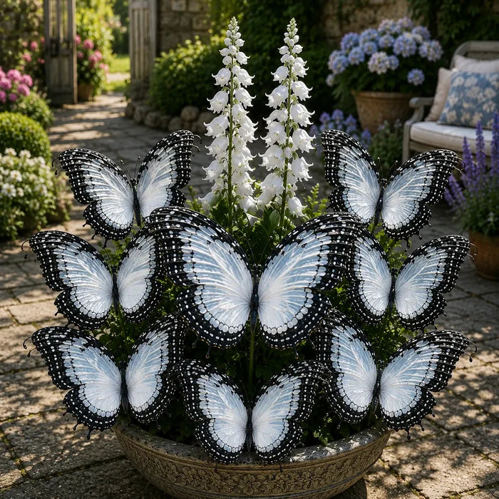 🦋 Lukovice hoste za vrt leptira - 🌸Hosta koja izgleda kao vrt pun leptira-HR
