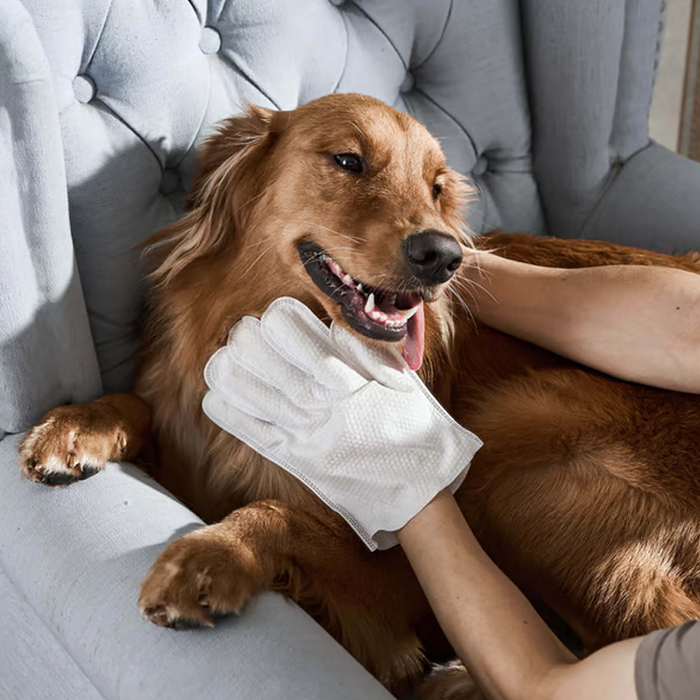 🐶Neskalaujamos naminių gyvūnėlių valymo dezodoruojančios pirštinės-LT