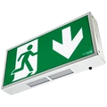 Robus R8EMLP4D-01 4W Exit Box - LiFePO4 - c/w Down Legend White