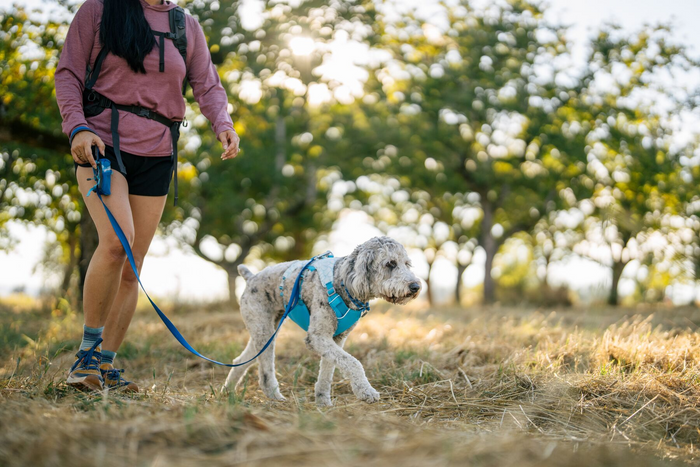 Ruffwear Pickup Bag Dispenser, Stash Bag Mini