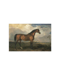Stallion Art Print by Splendus