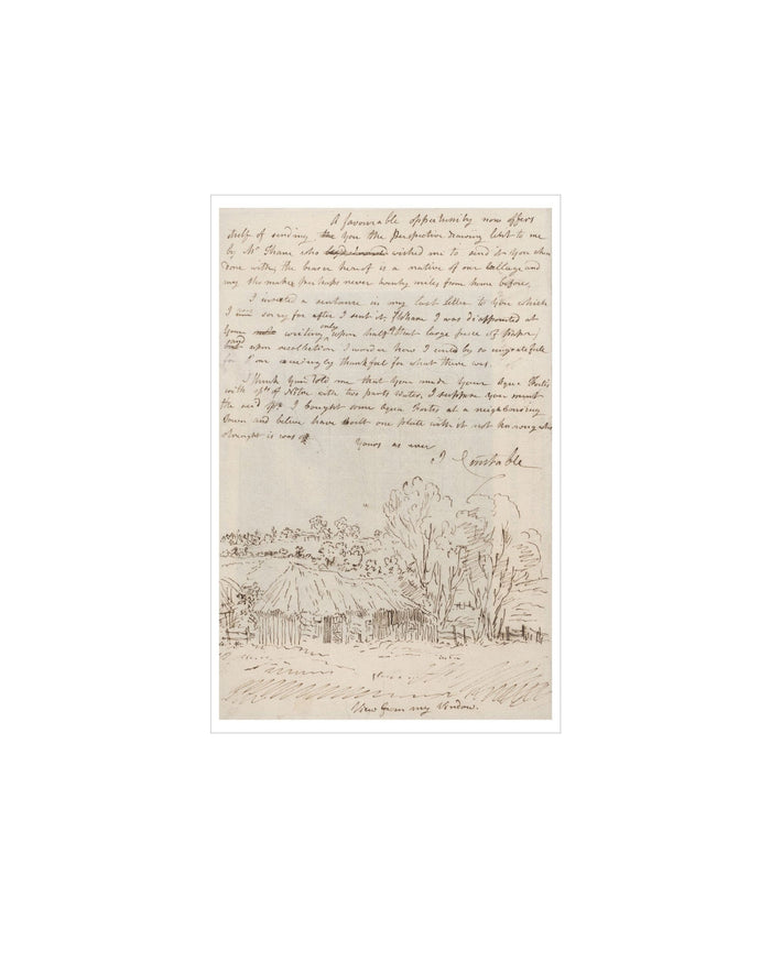 View from My Window Art Print by Splendus
